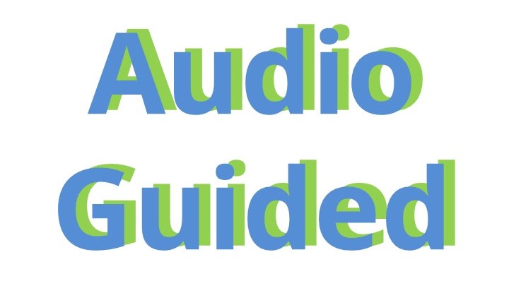 Audio Guided Logo